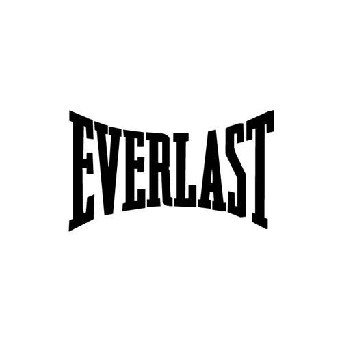 Everlast logo