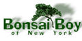 Bonsai Boy of New York logo
